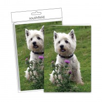 Chip the Westie Cards/Envs